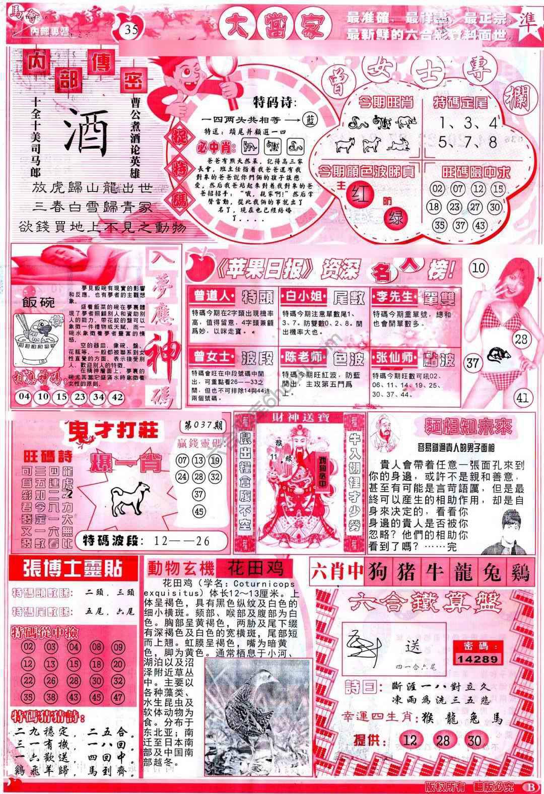 大当家