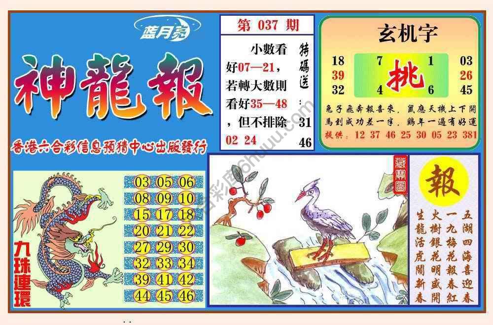 蓝月亮神龙报