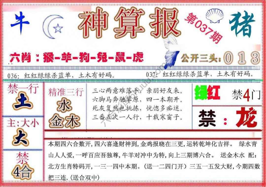 神算报新版