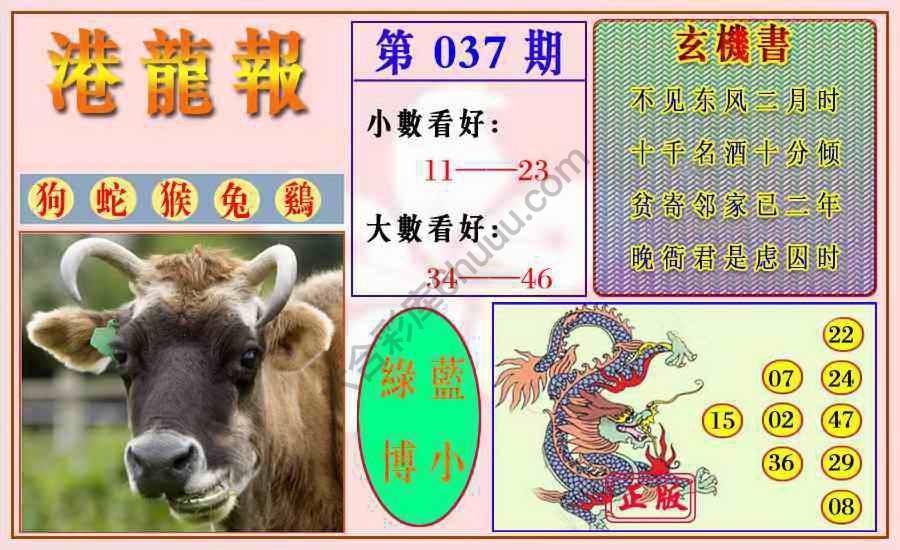 港龙报