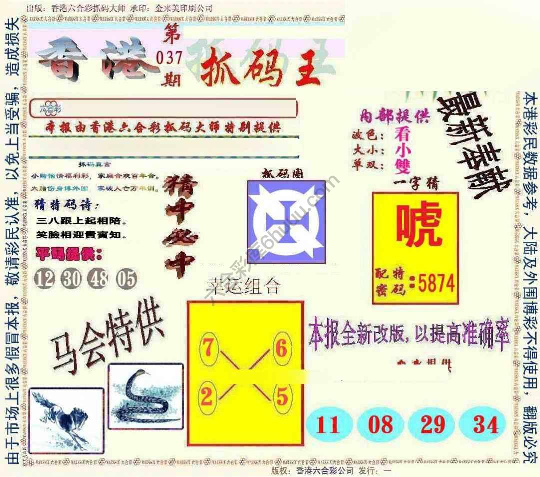 新抓码王