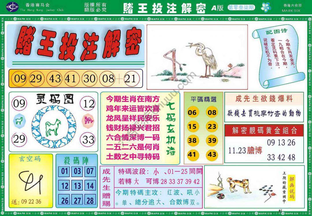 赌王投注解密
