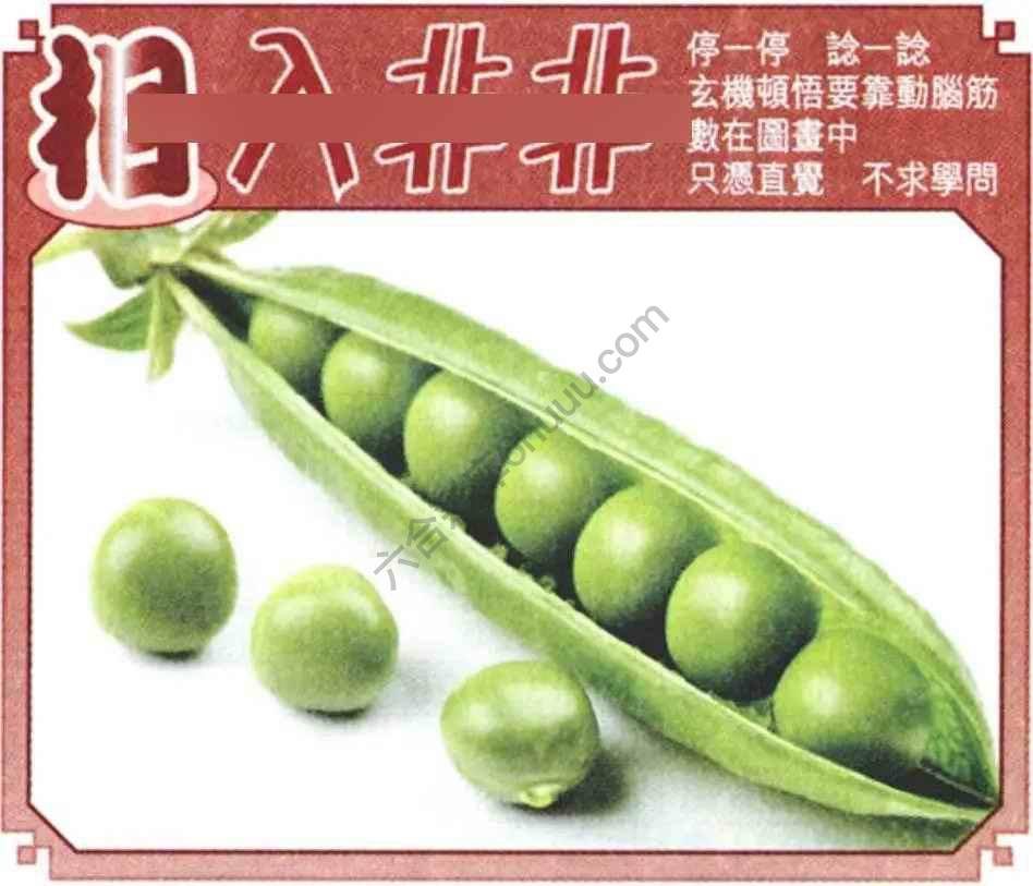 相入非非