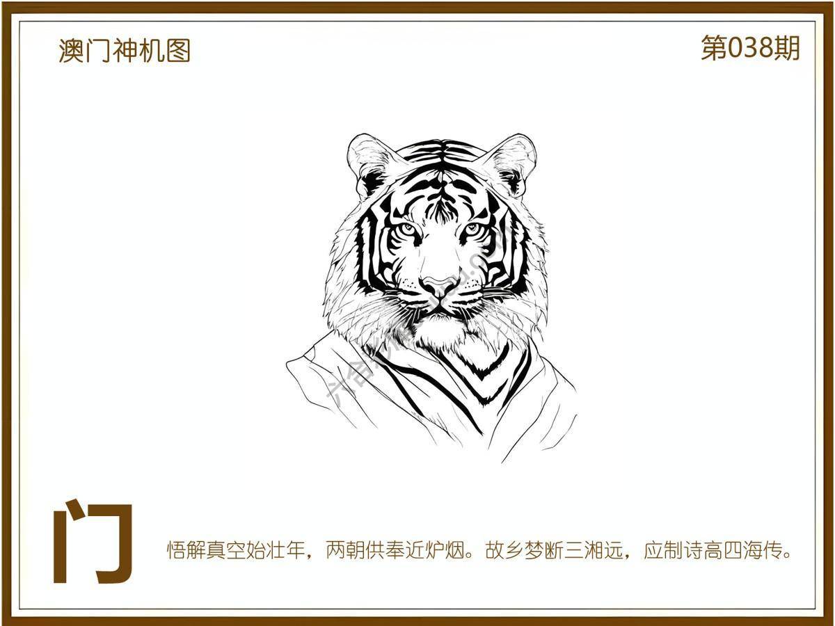 澳门神机图