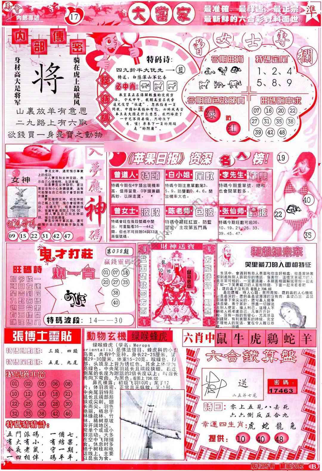大当家