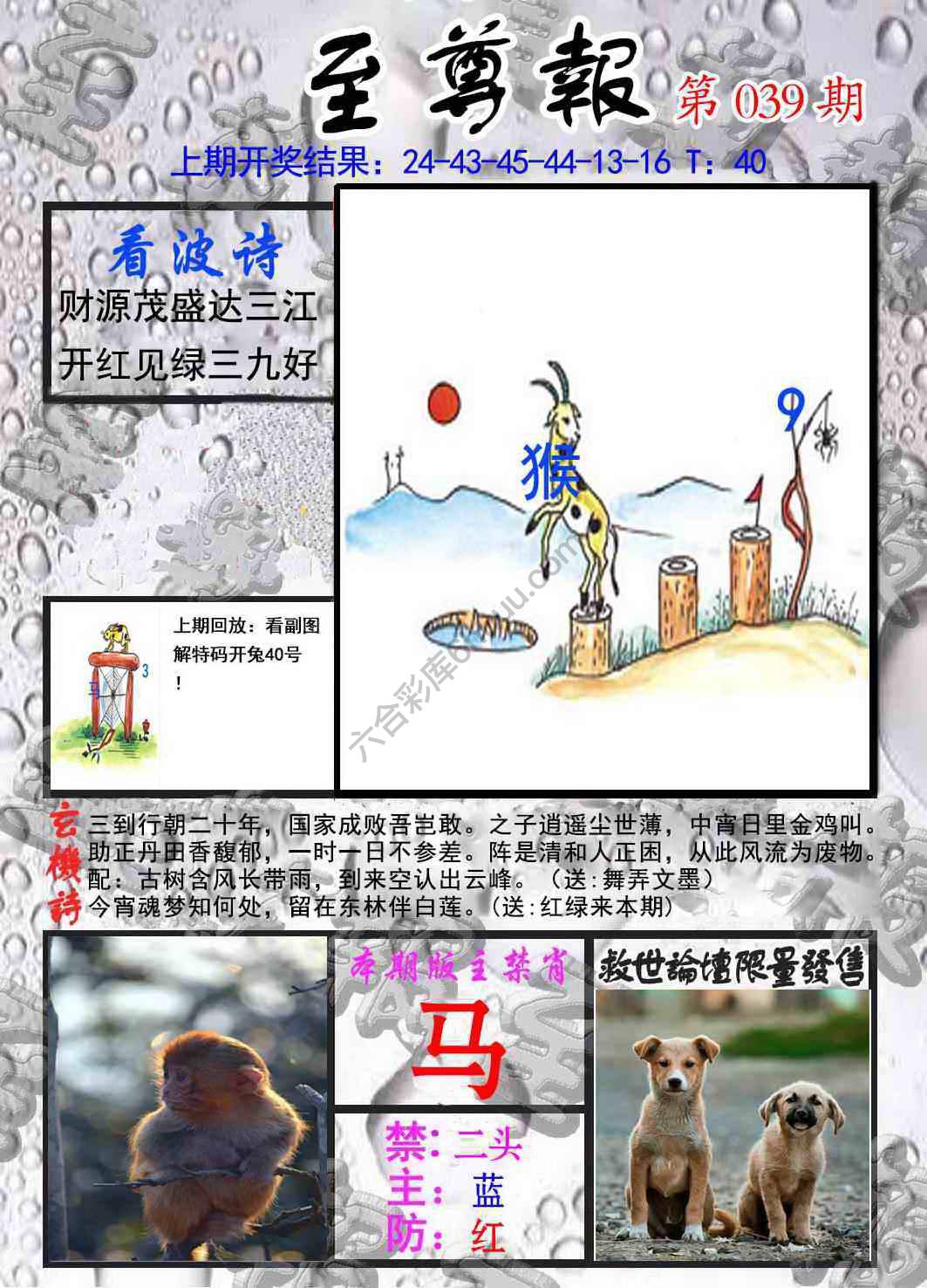 至尊报