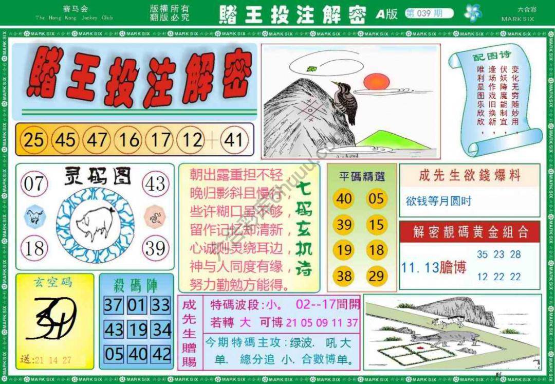 赌王投注解密