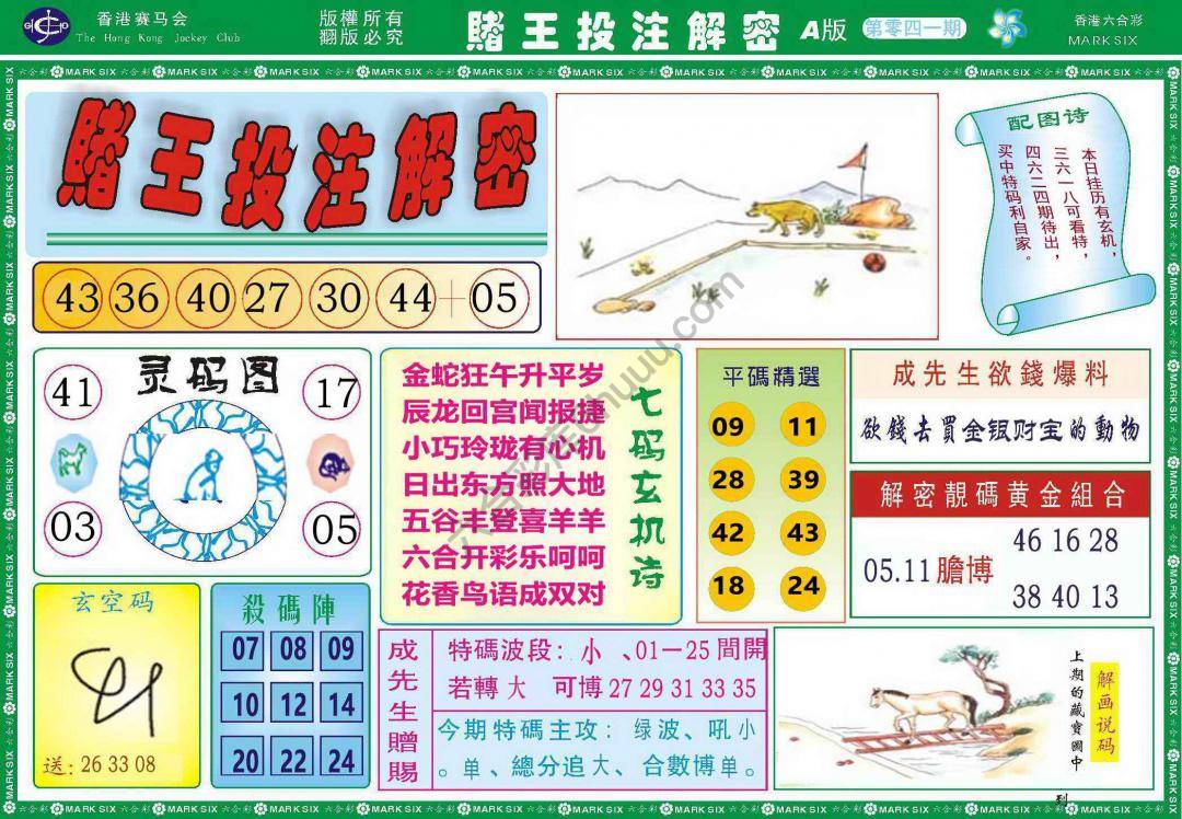赌王投注解密