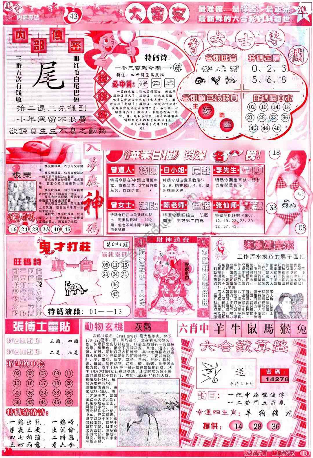 大当家
