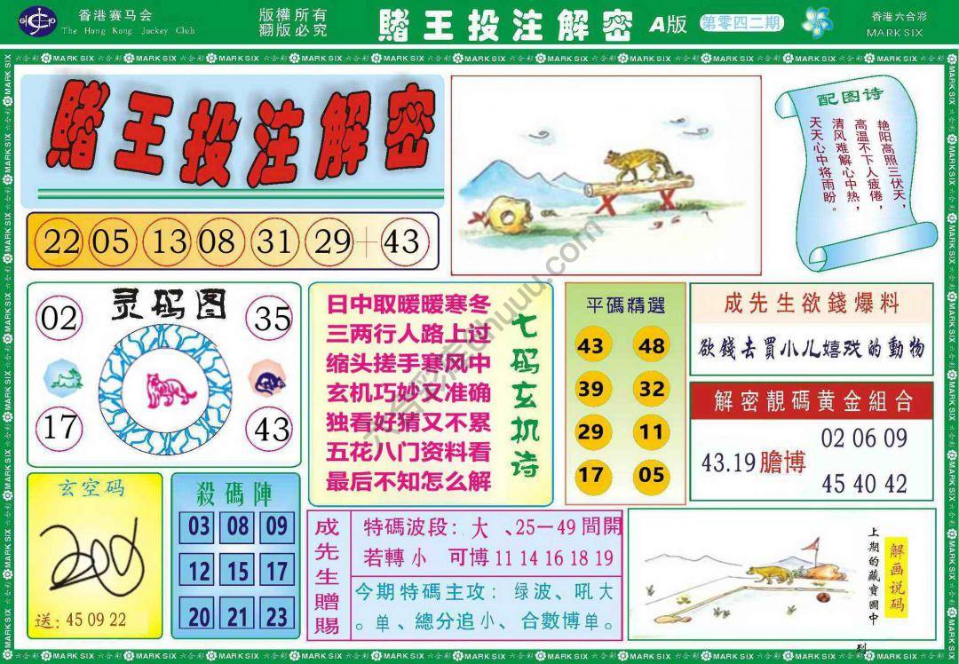 赌王投注解密