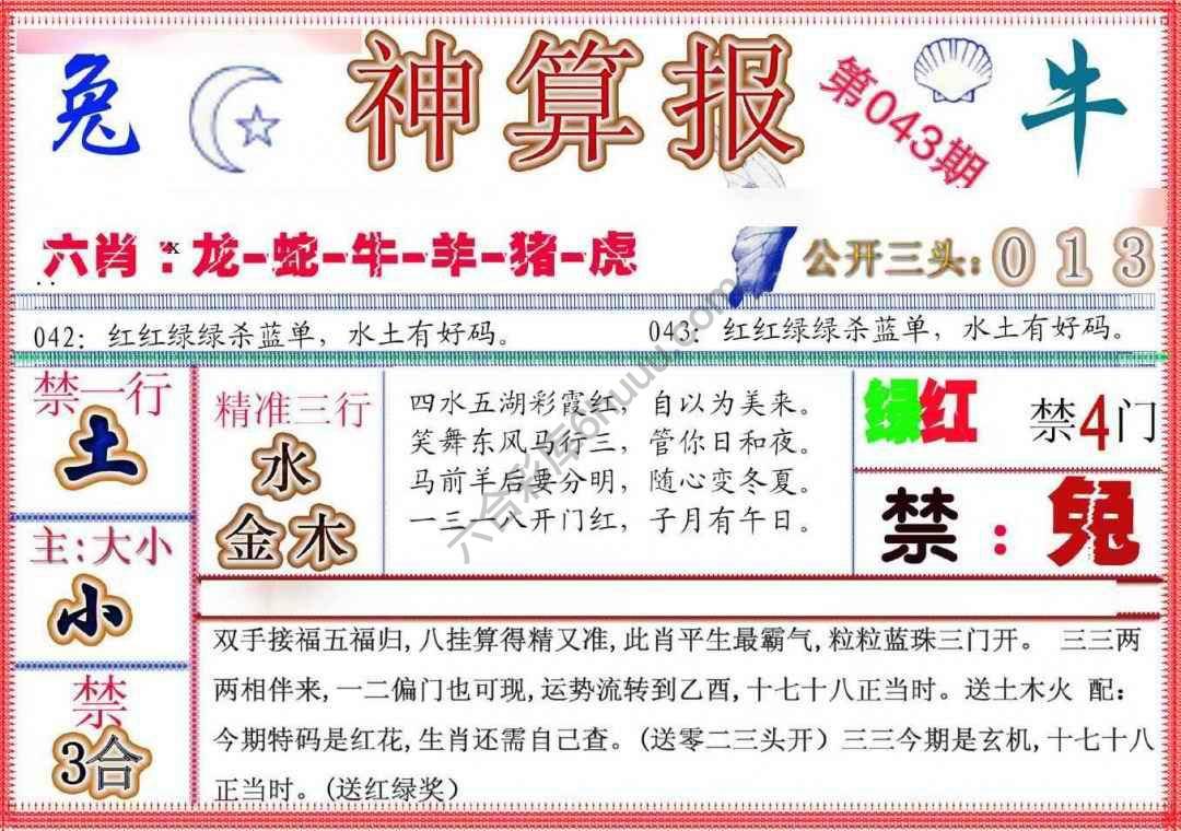 神算报新版