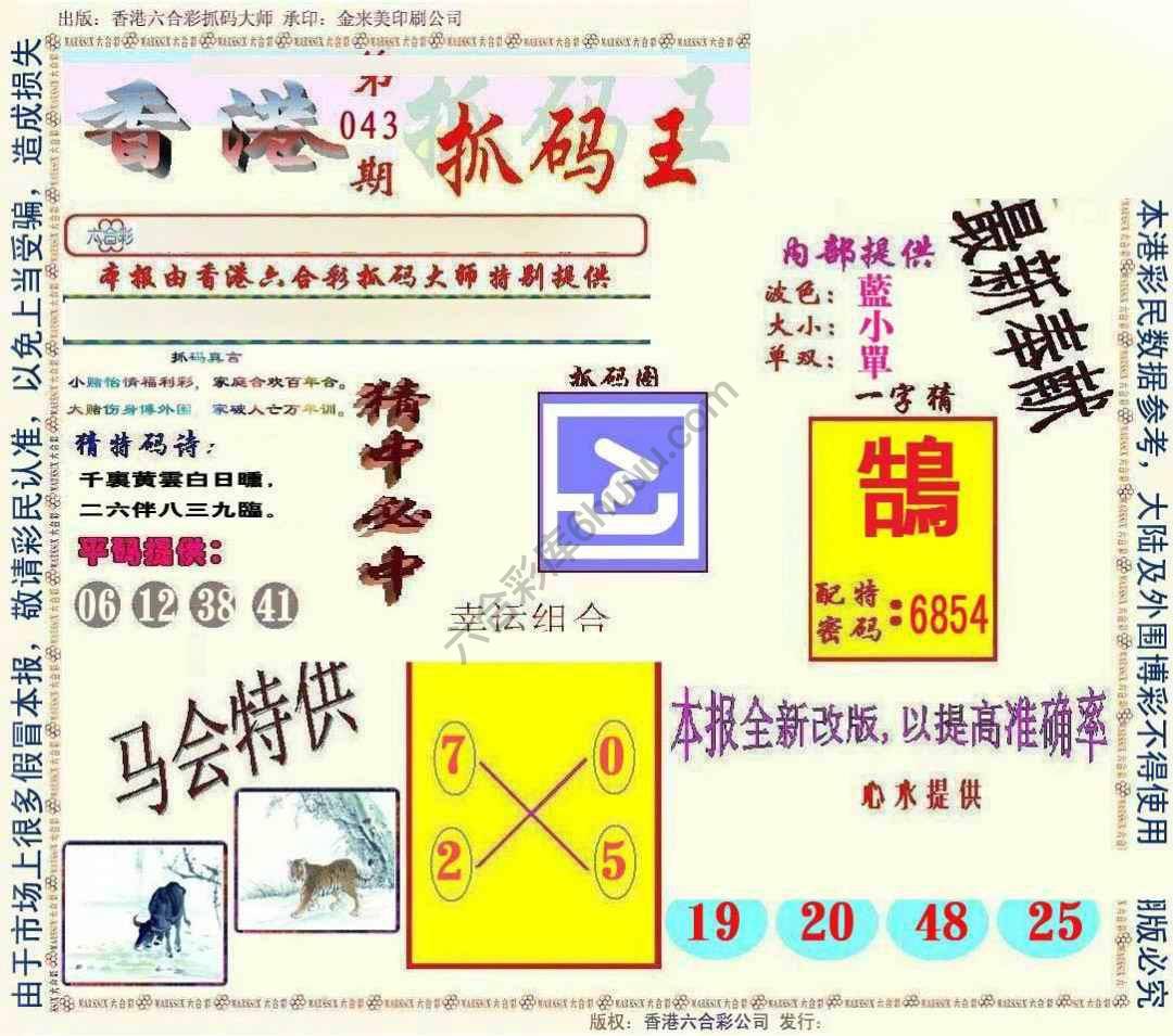 新抓码王