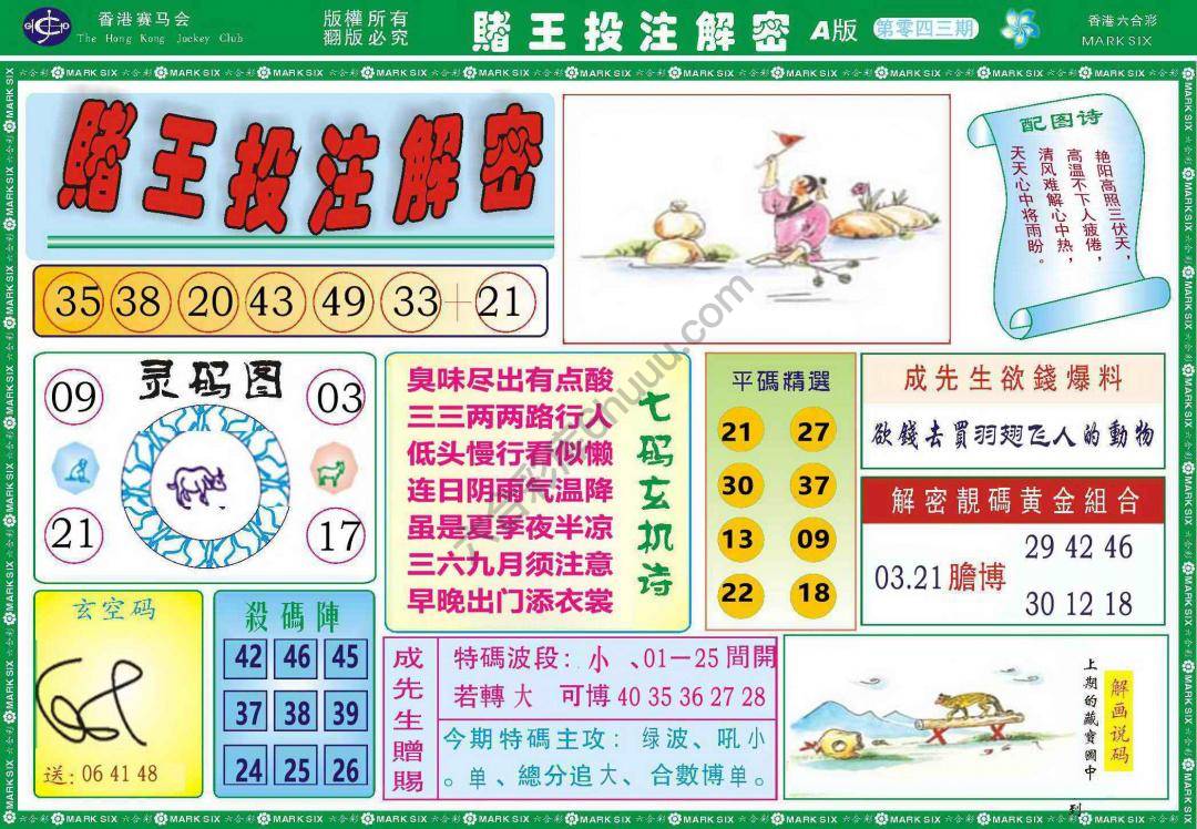 赌王投注解密