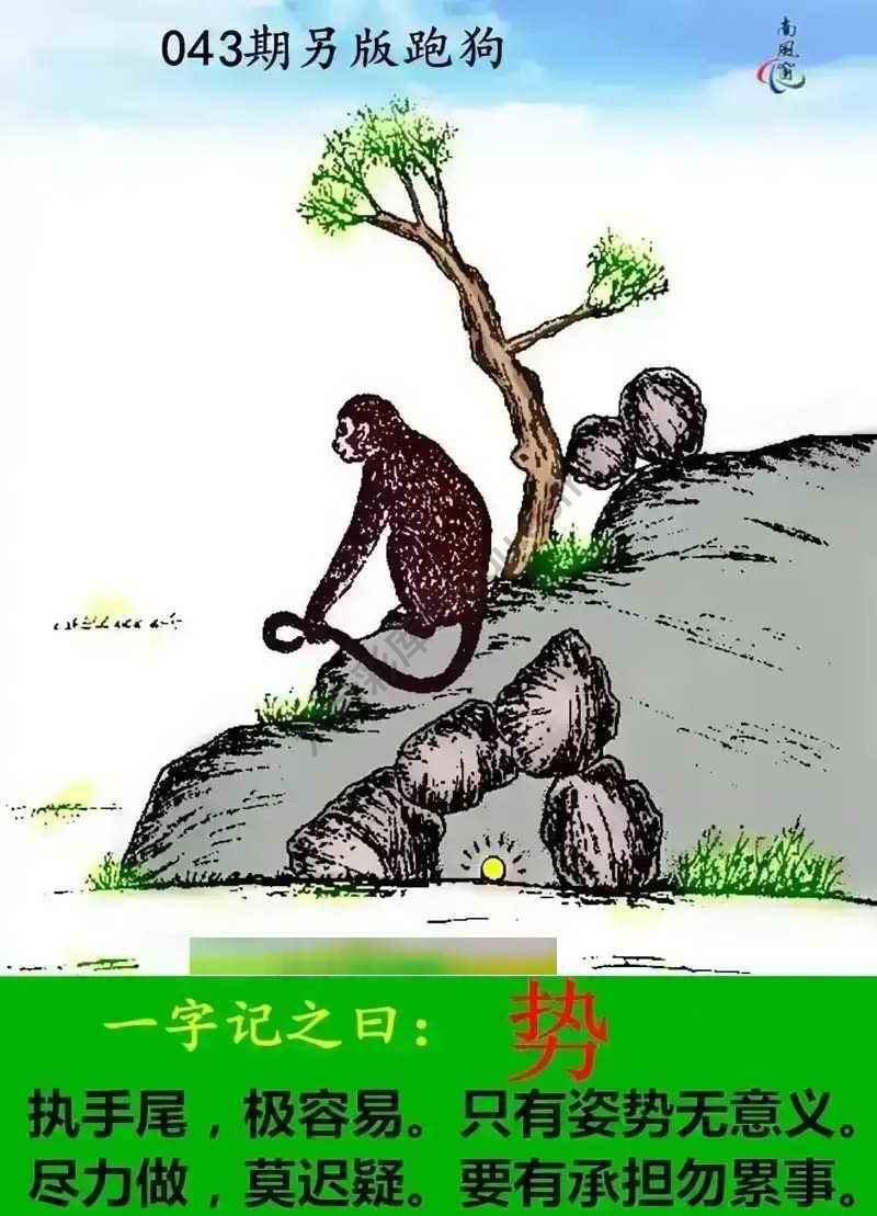 另版跑狗