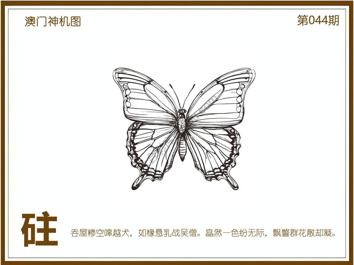 澳门神机图