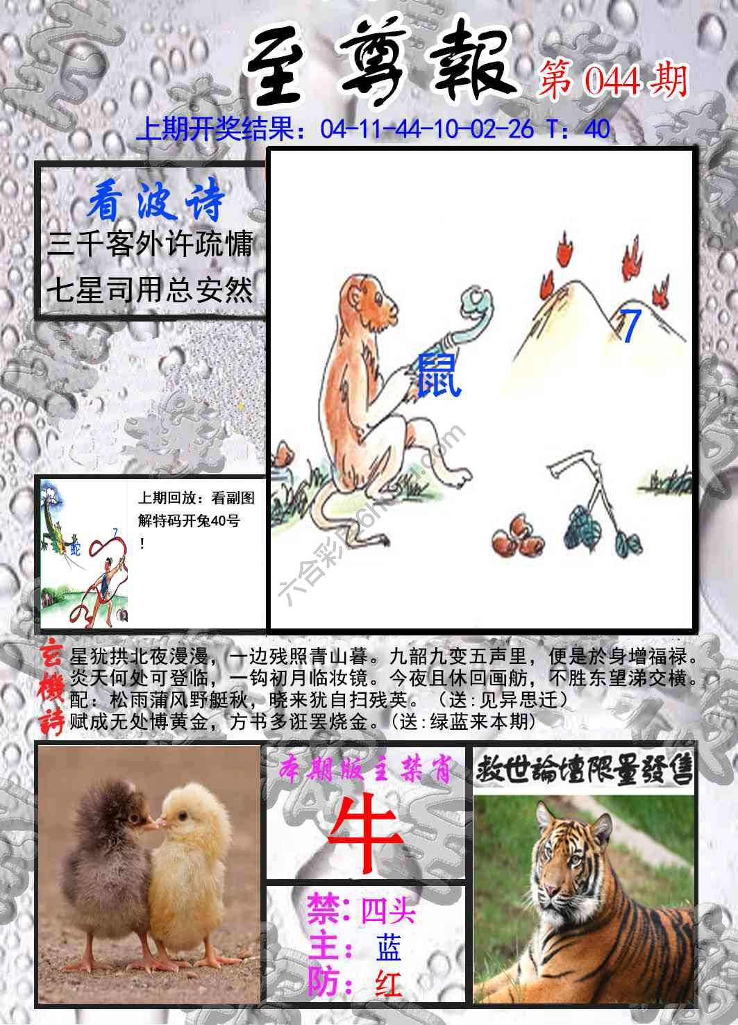 至尊报
