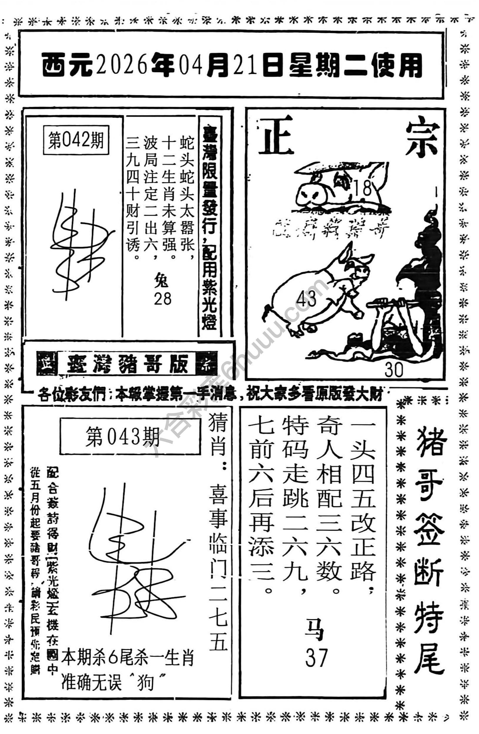 猪哥签断特尾