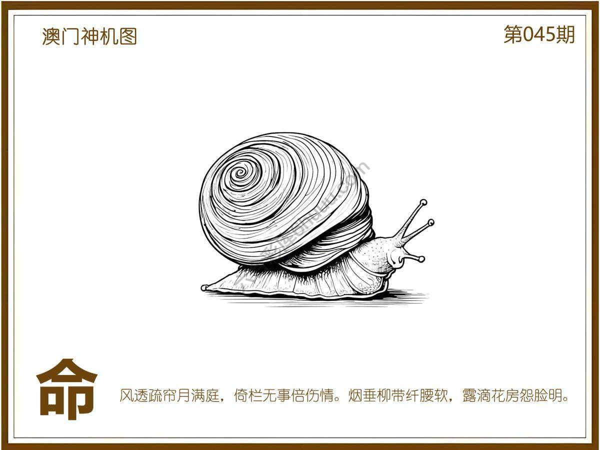 澳门神机图