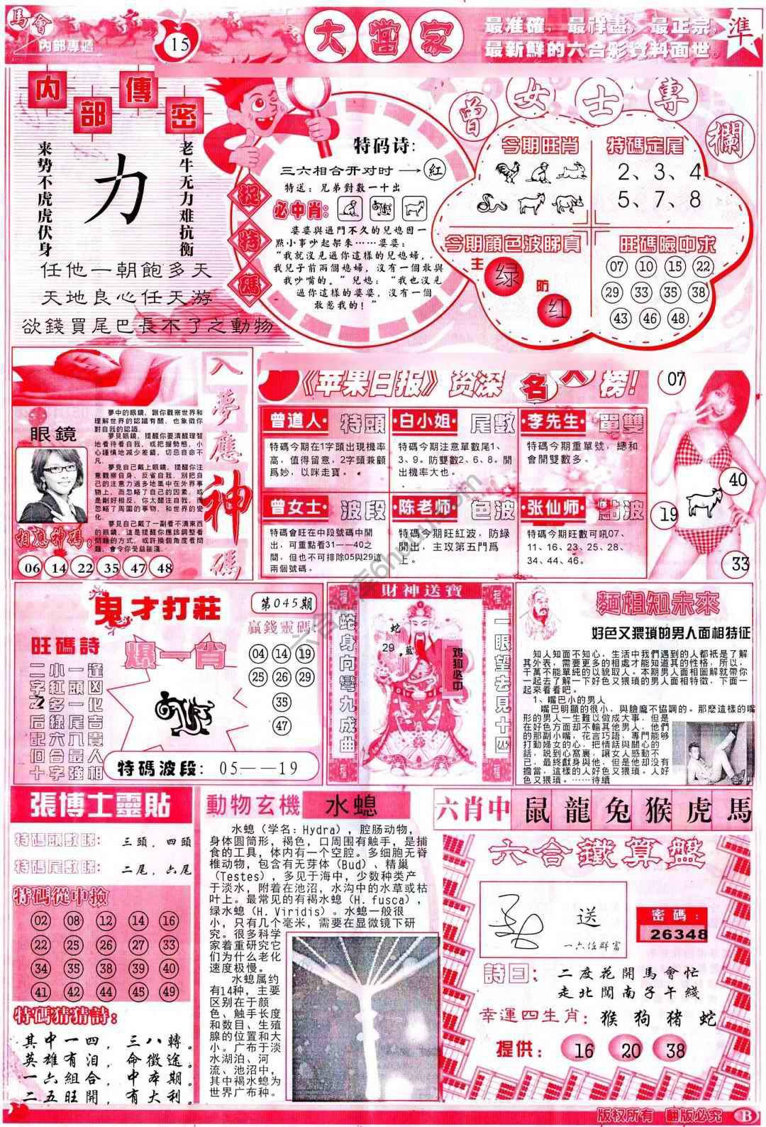 大当家
