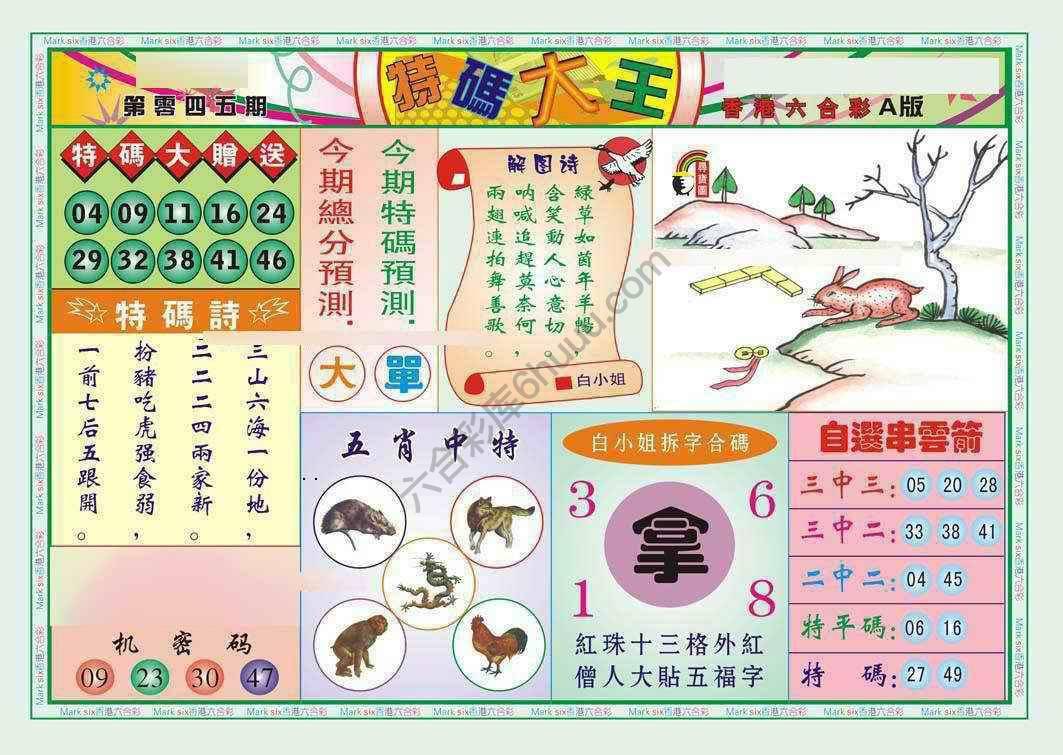 特码大王