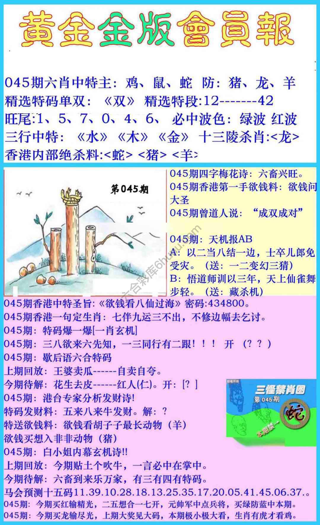 黄金金版会员报
