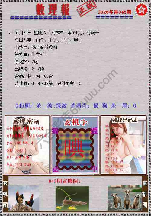 数理报