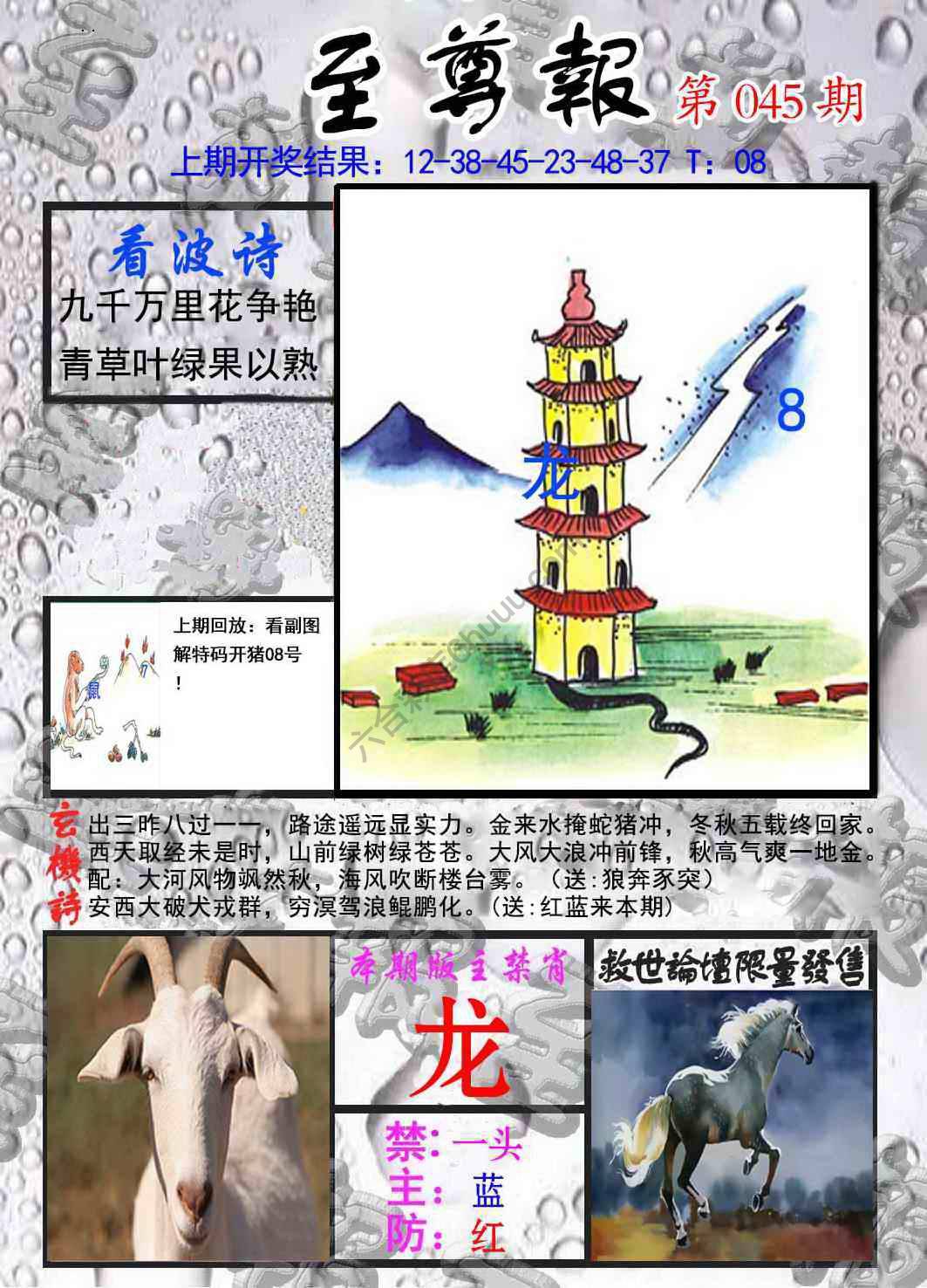 至尊报