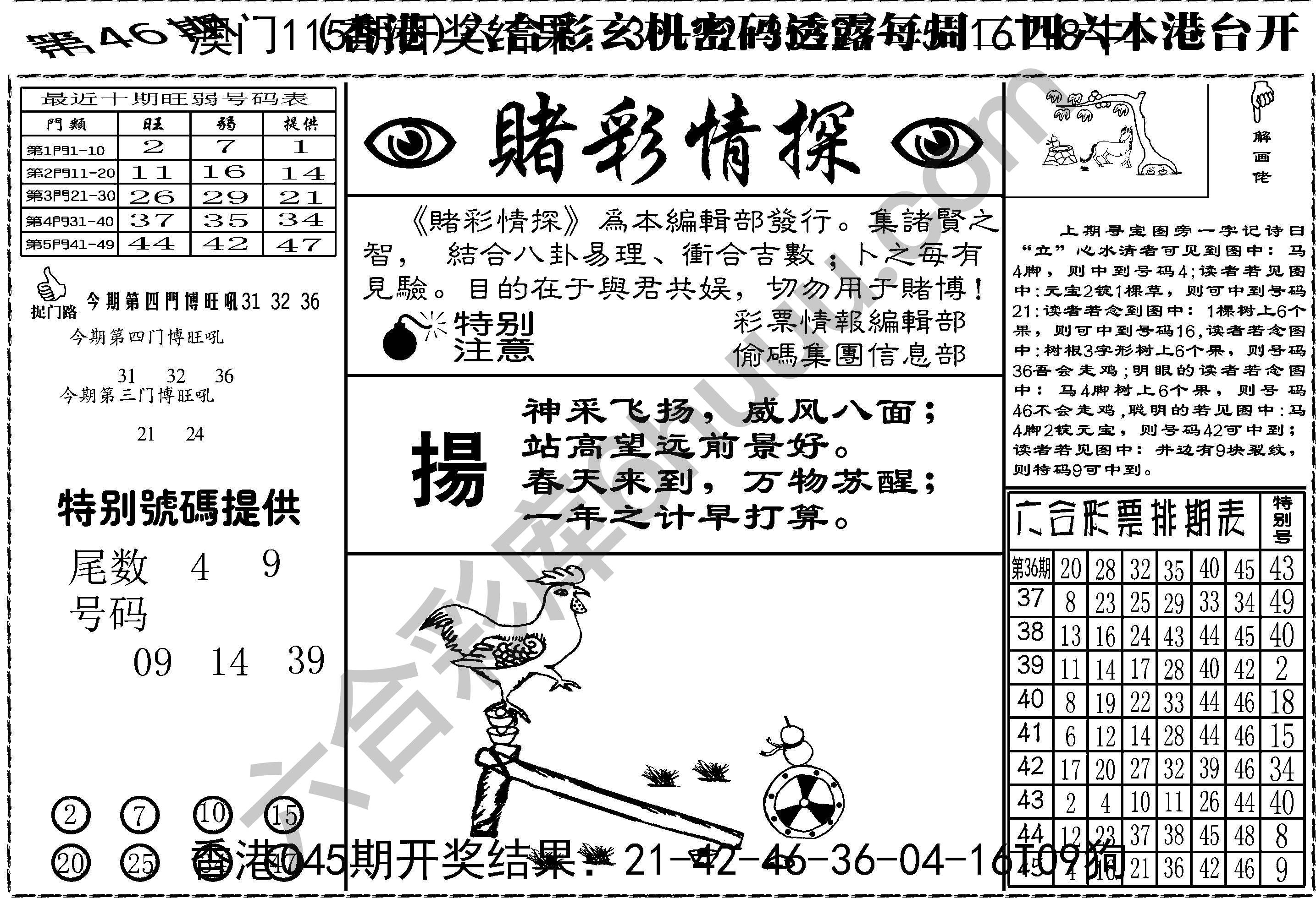 赌彩情探