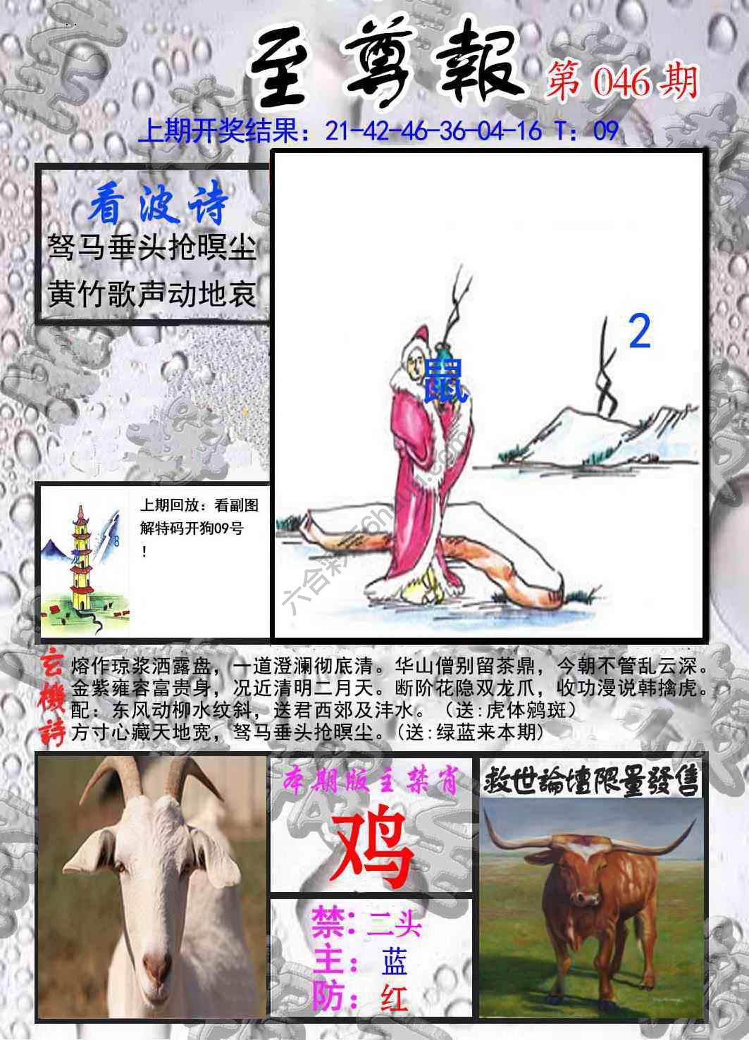至尊报