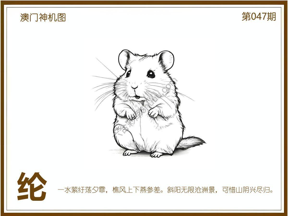 澳门神机图