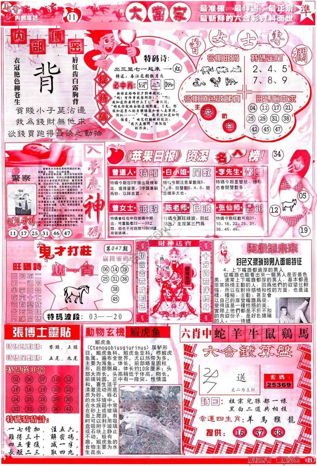 大当家