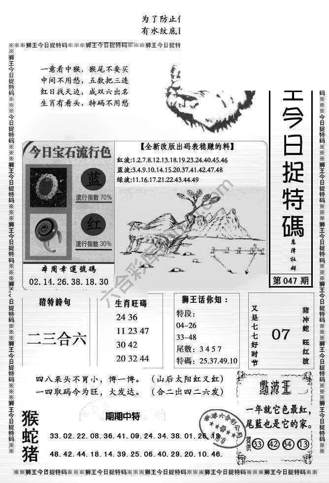 狮王今日抓特码