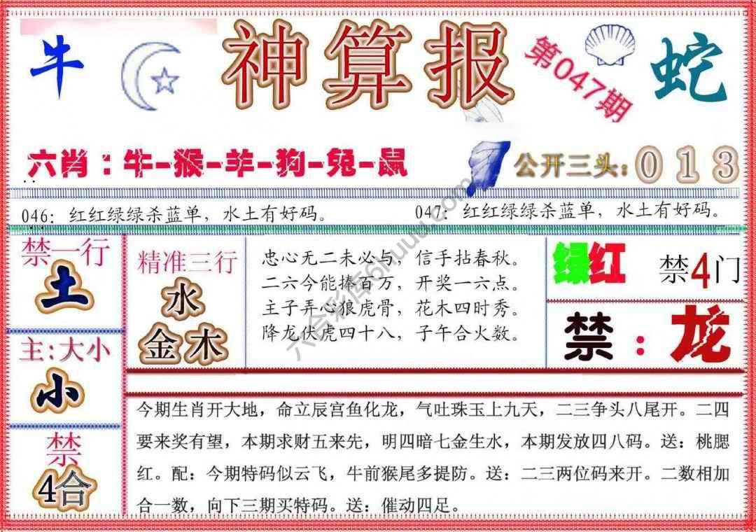 神算报新版
