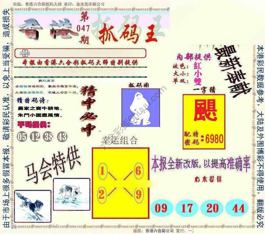 新抓码王