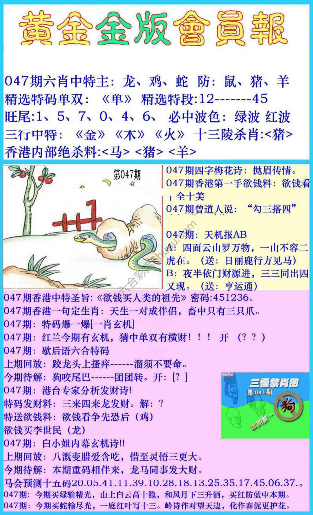 黄金金版会员报
