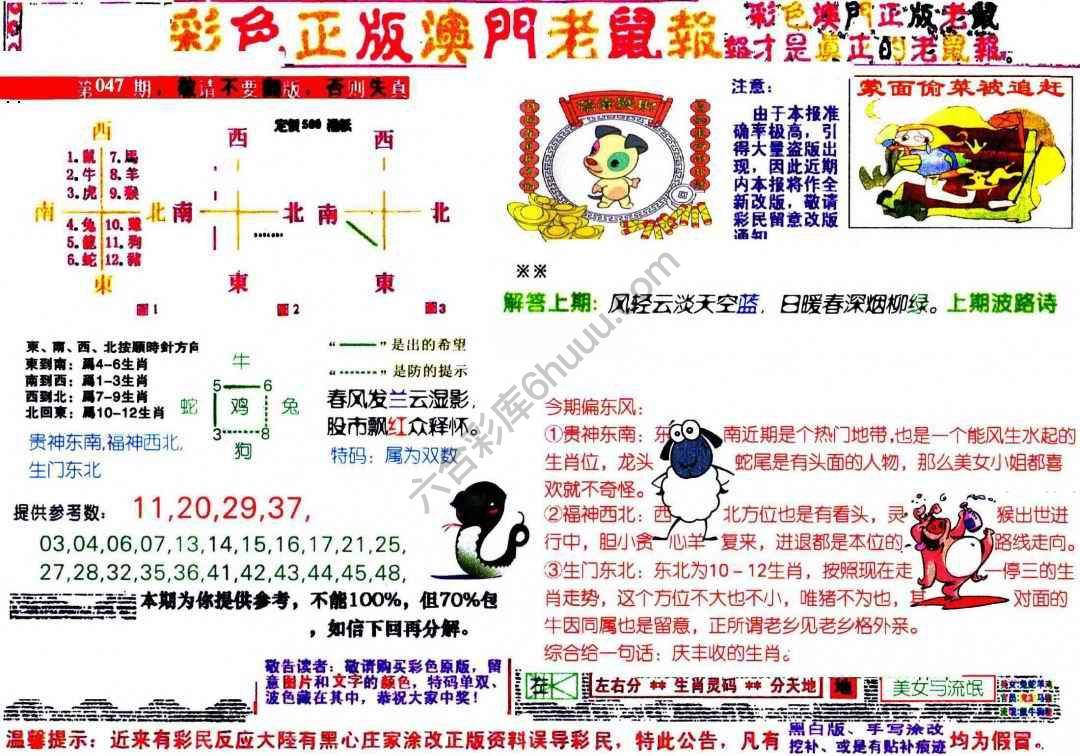 澳门老鼠报