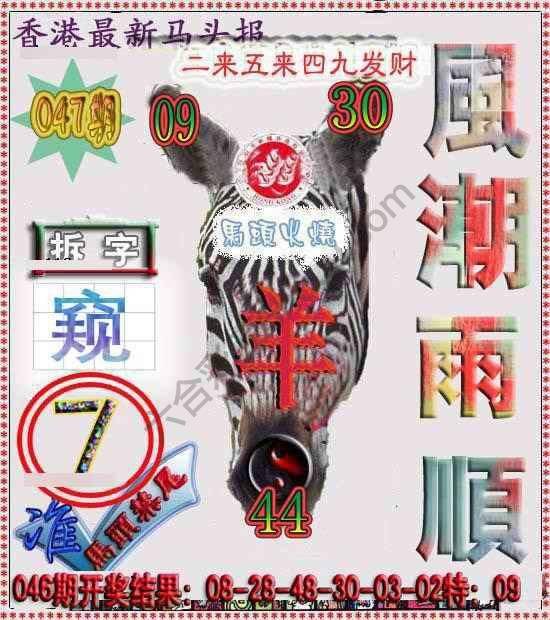 香港马头报