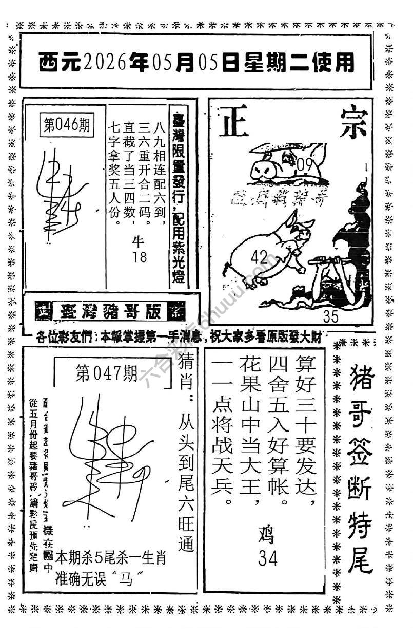 猪哥签断特尾