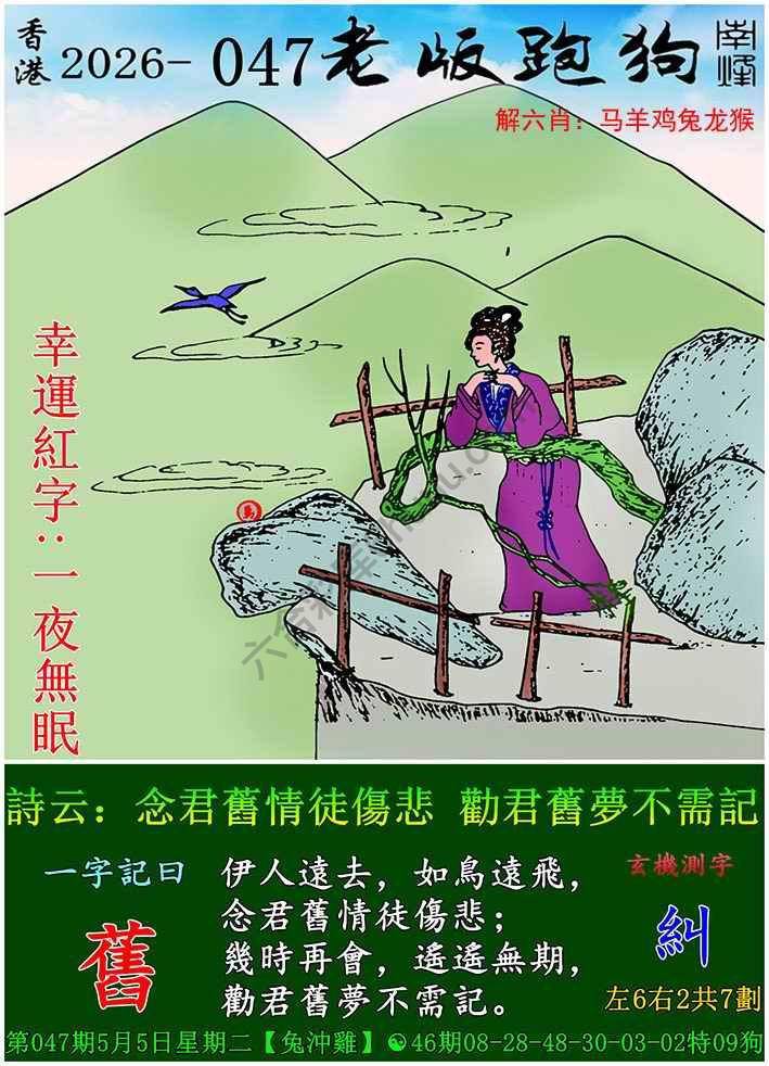 老版跑狗图