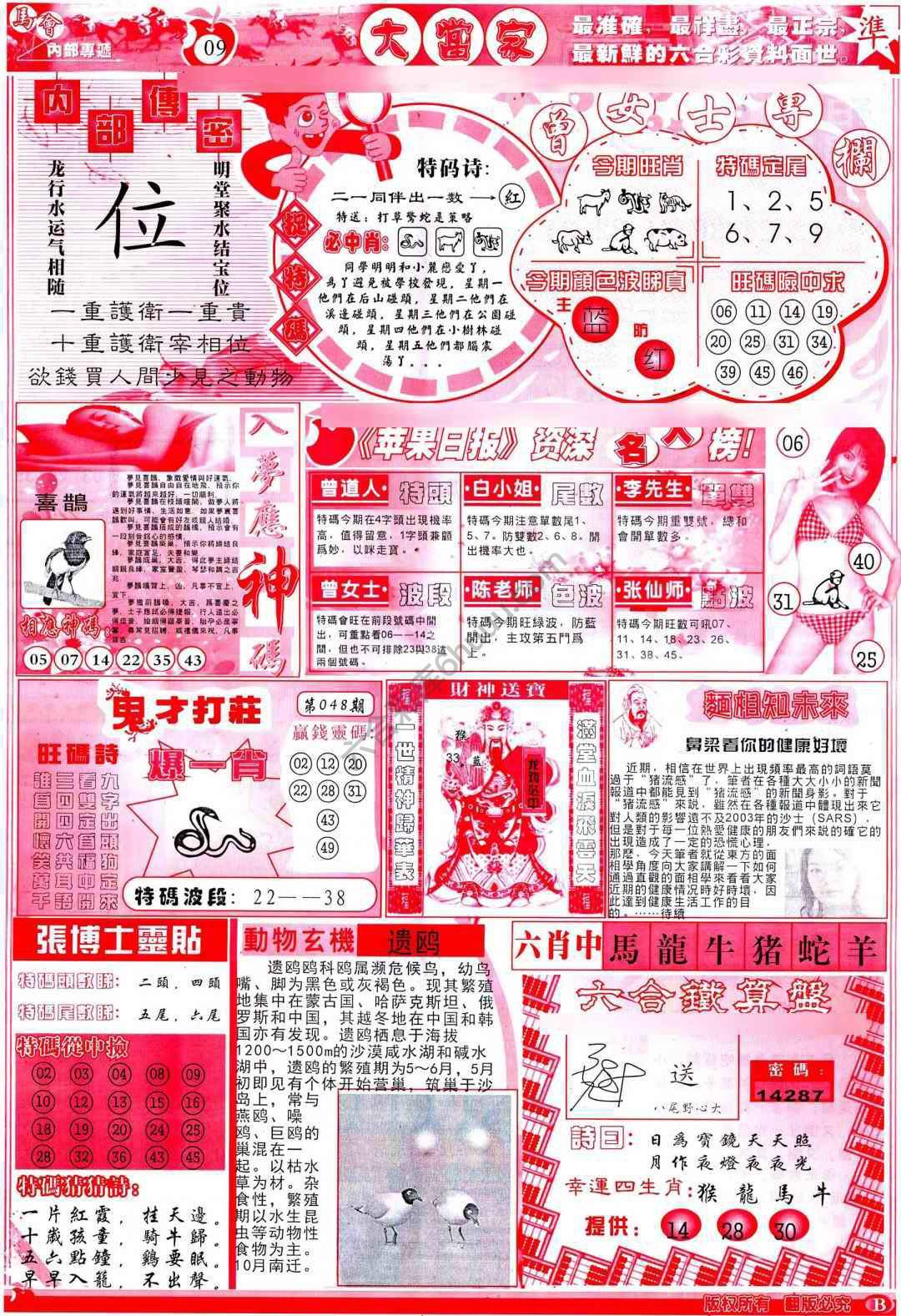大当家