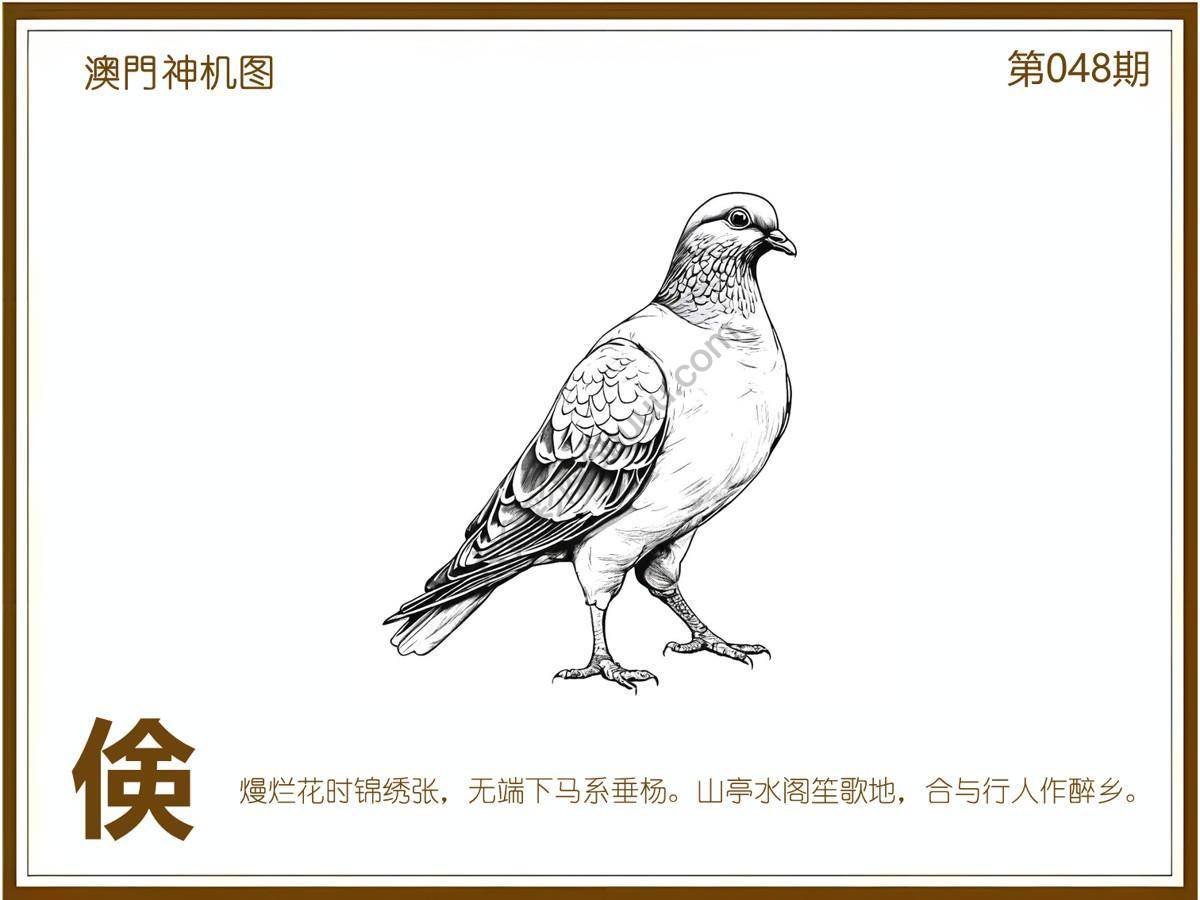澳门神机图
