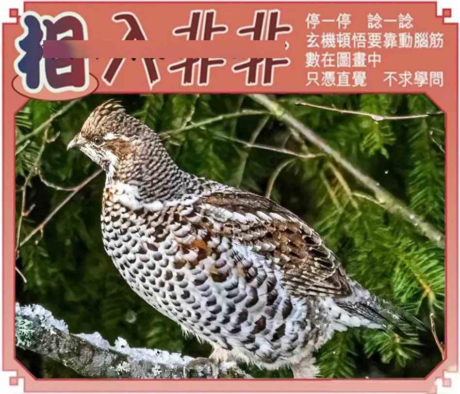 相入非非