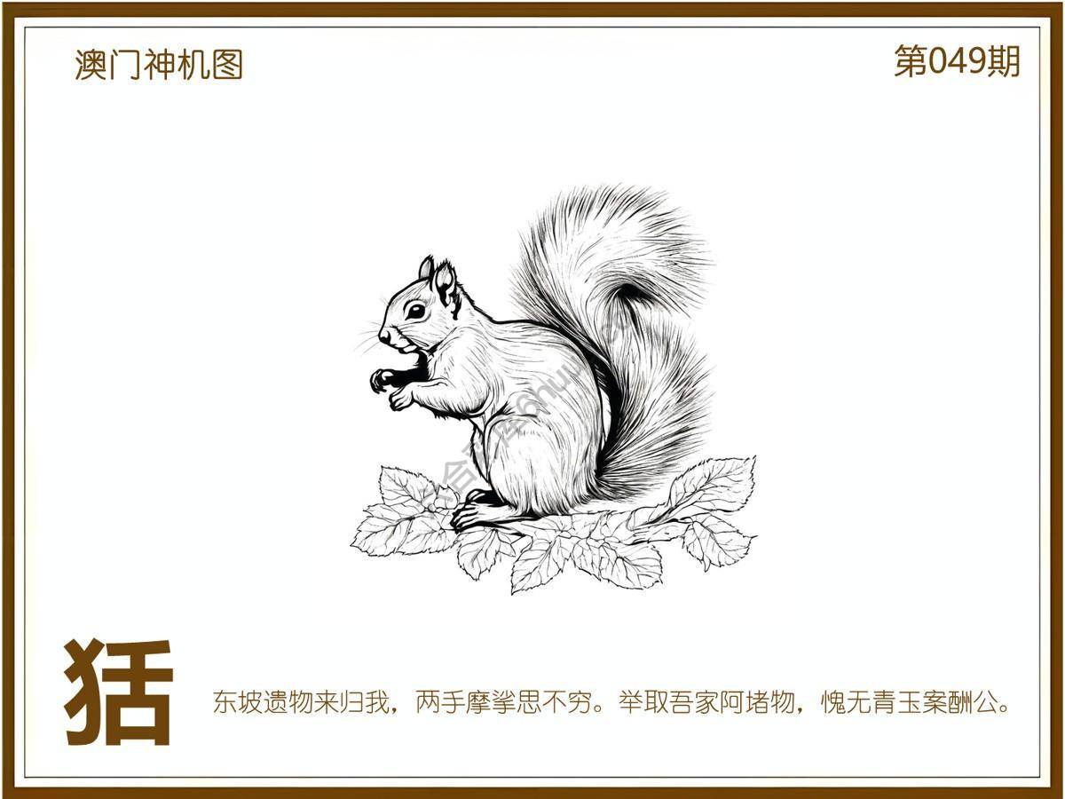 澳门神机图