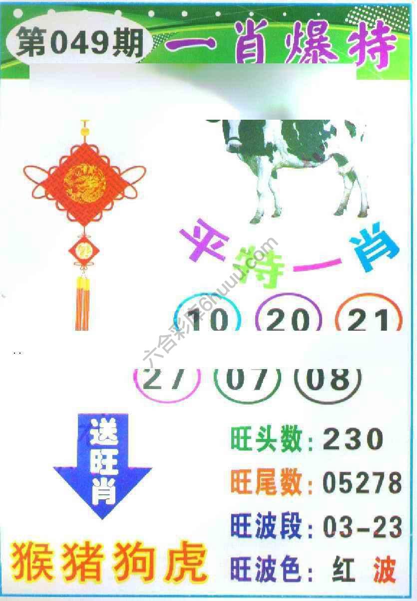 一肖爆特（新版）