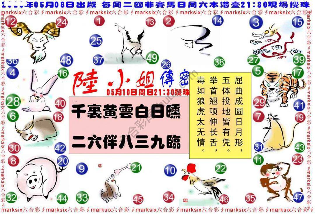 陆小姐传密