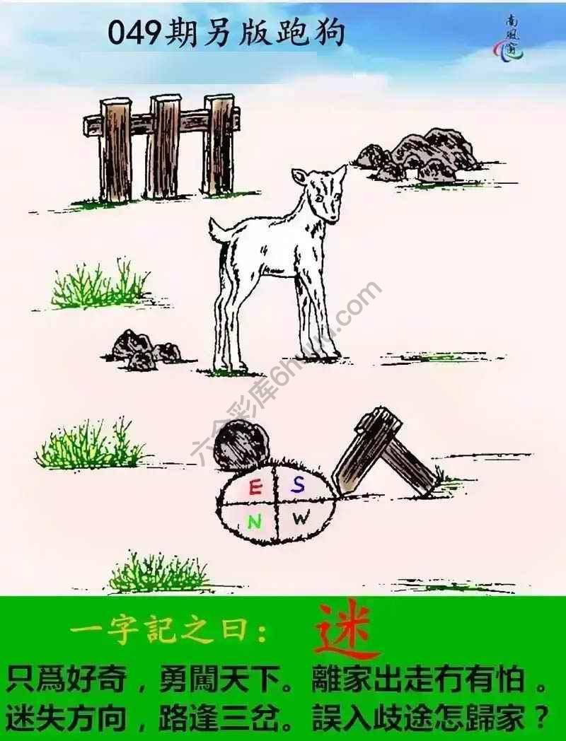 另版跑狗