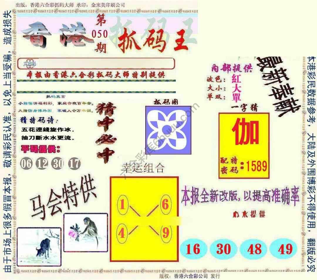 新抓码王