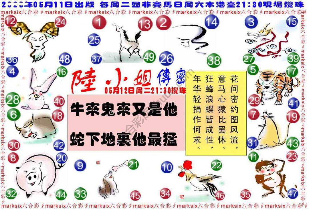 陆小姐传密