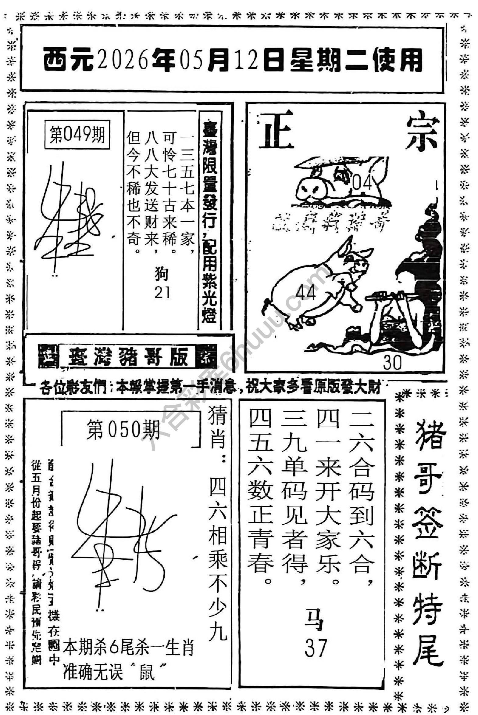 猪哥签断特尾