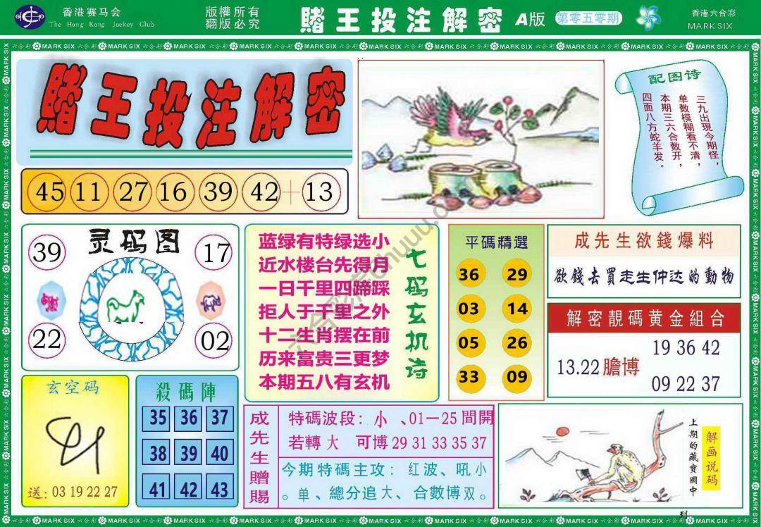 赌王投注解密